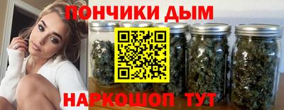 крисы Лесосибирск