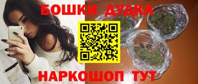 крисы Лесосибирск