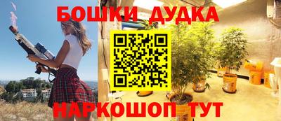 крисы Лесосибирск