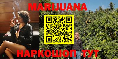 крисы Лесосибирск