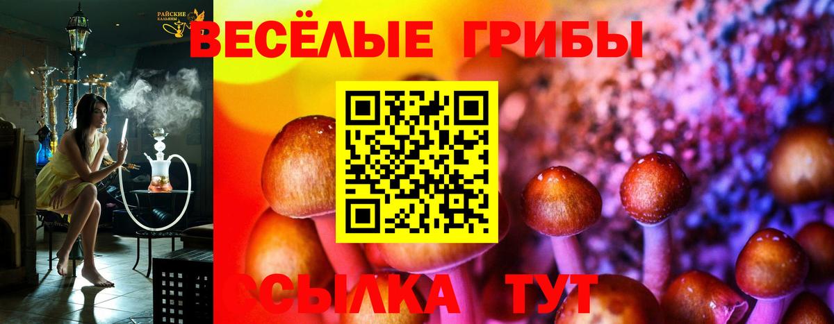 Галлюциногенные грибы мухоморы Звенигород