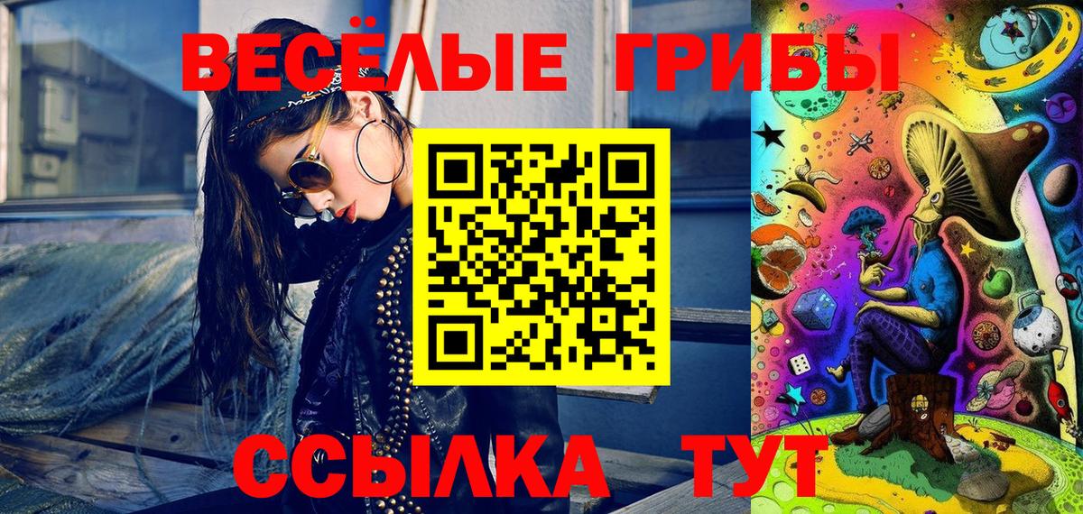 Звенигород  Псилоцибиновые грибы Magic Shrooms  Вход с VPN 